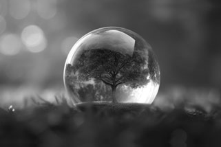 Sustainability — Landmark Group Value