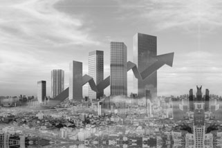Growth — Landmark Group Value